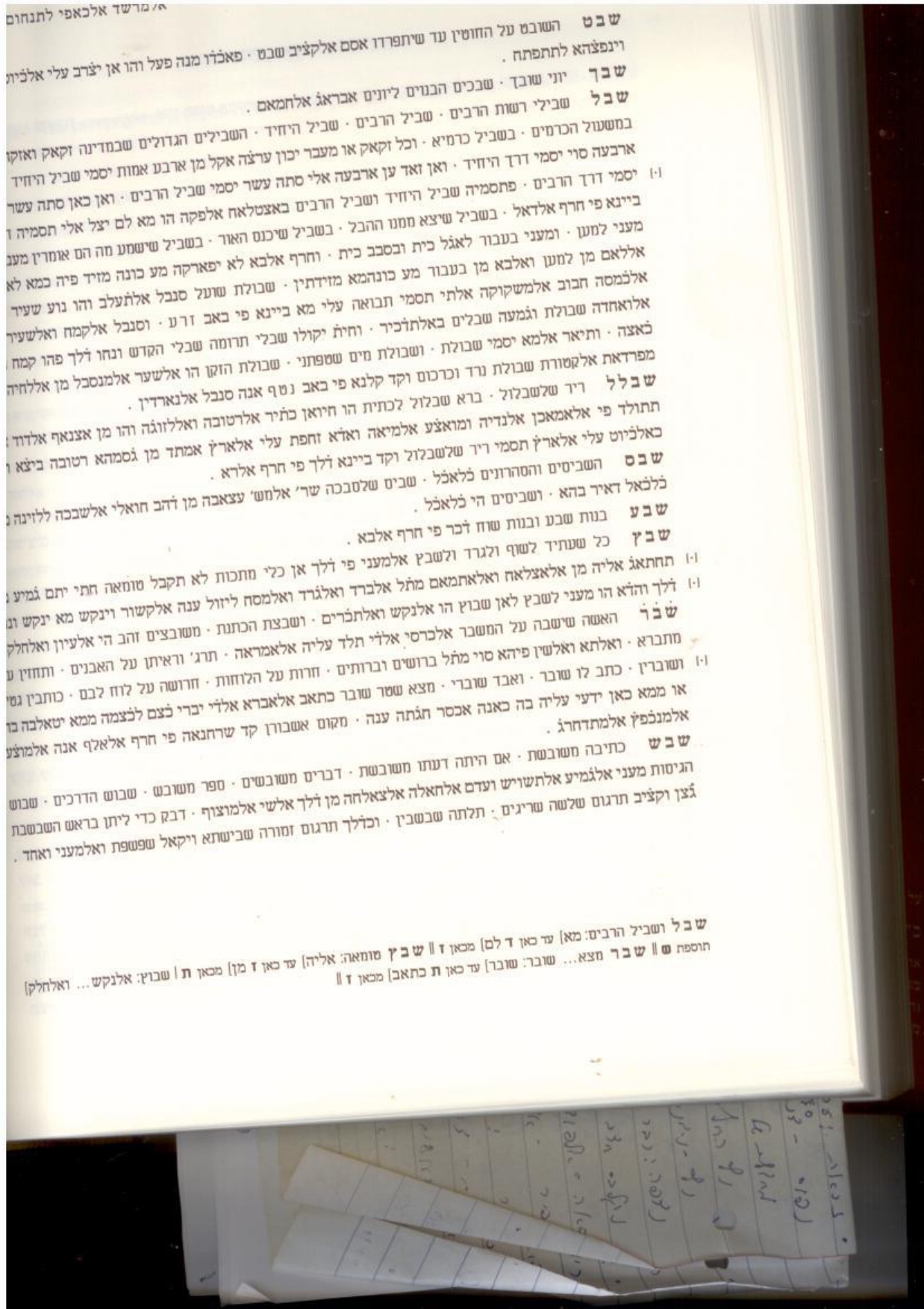 שבלול תנחום הירושלמי_page-0002.jpg